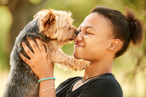 Smiling young woman making a face with her adorable little dog licking her nose outside in the summer