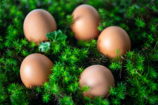 istock Easter 2021 - New ideas for you 1302087747