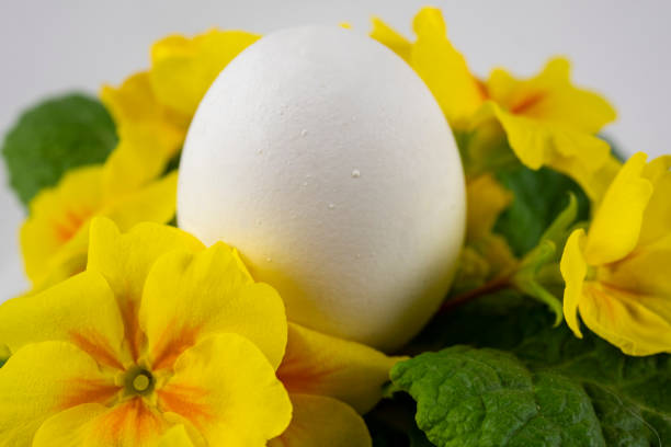 Celebrating Eastern with creative decoration. Eycatcher with white and brown eggs.