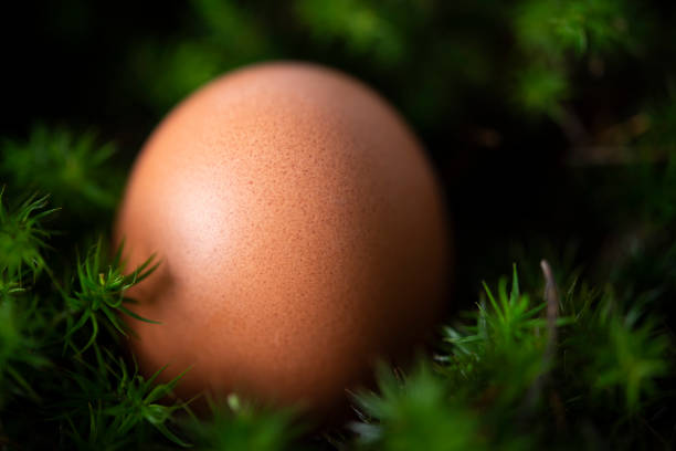istock Easter 2021 - New ideas for you 1302087762