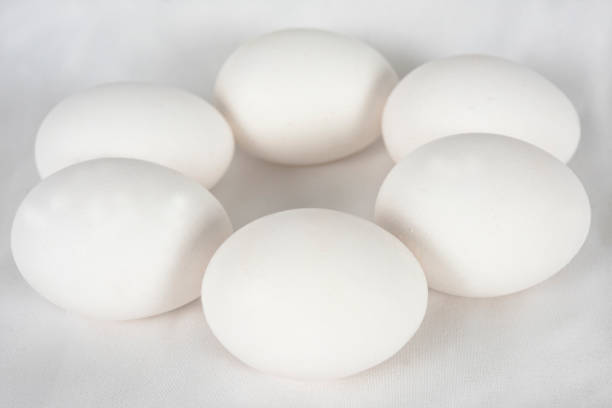 istock Easter 2021 - New ideas for you 1302087775
