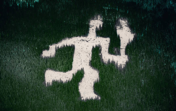 Shape of a person cut in the forest on a mountain slope in winter time. Shape of a person cut in the forest on a mountain slope in winter time. crop circle stock pictures, royalty-free photos & images