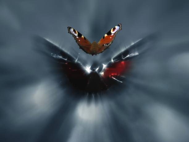 Mothman and Butterfly Composing from 2 of the same Image. A little bit surealistic. mothman stock pictures, royalty-free photos & images