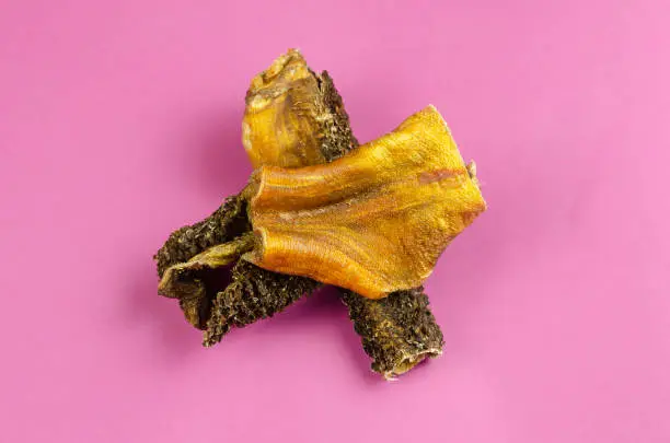 Photo of Natural healthy treats for dogs of premium quality. Dried beef stomach, buffalo tripe on a pink background.