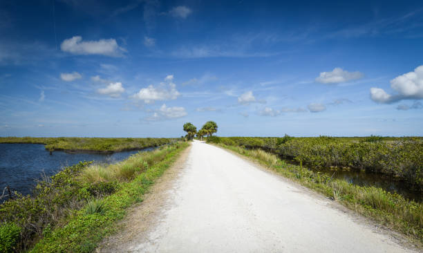 istock Beautiful Florida landscape 1302091290