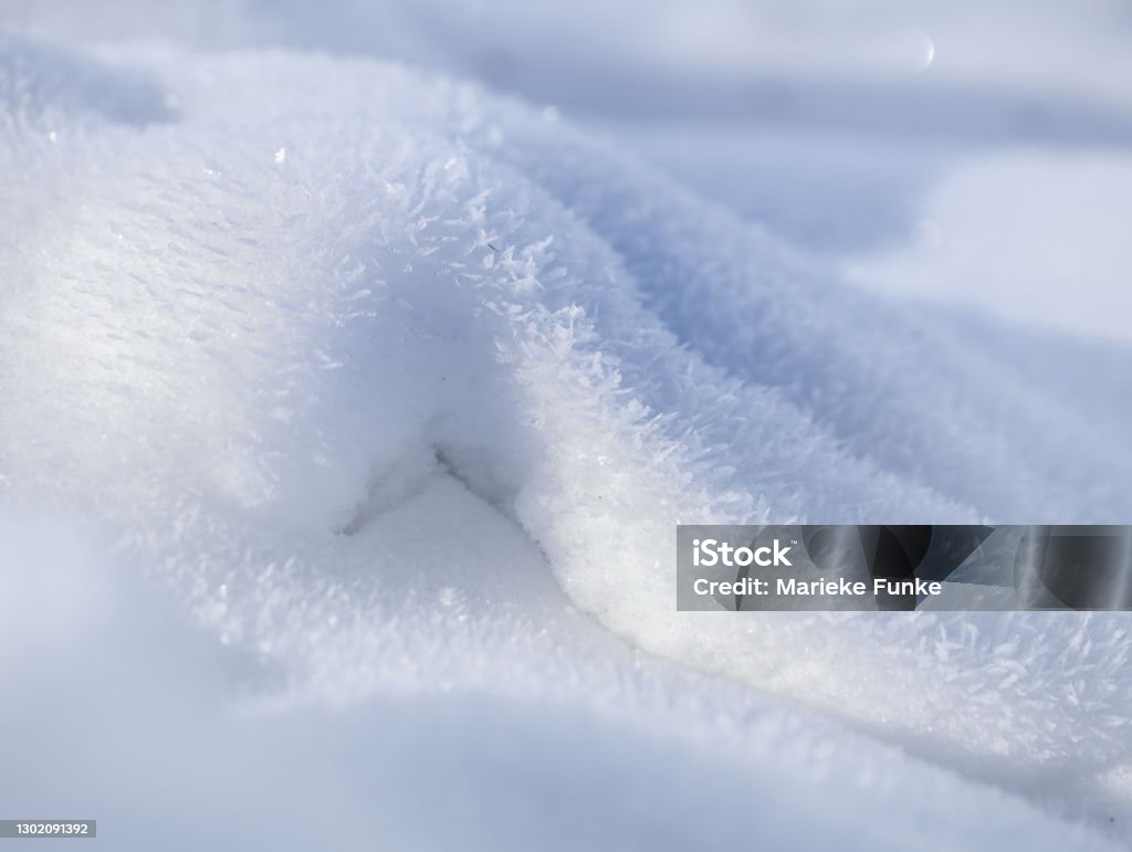 snow white fluffy snow on a cold winter morning Abstract Stock Photo