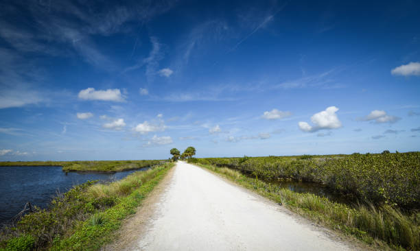 istock Beautiful Florida landscape 1302091499