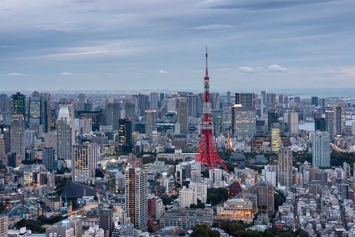 At night the city lights up,an aerial view from Roppongi to Tokyo Tower.