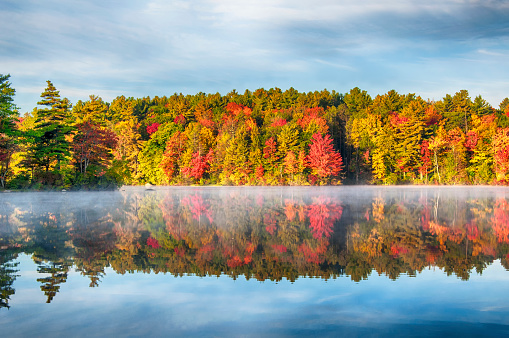 Autumn at Burr Pond State Park in Torrington, Connecticut on a sunny blue sky morning in new england.