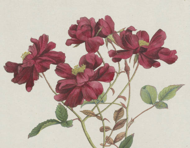 Flower pattern wallpaper painting