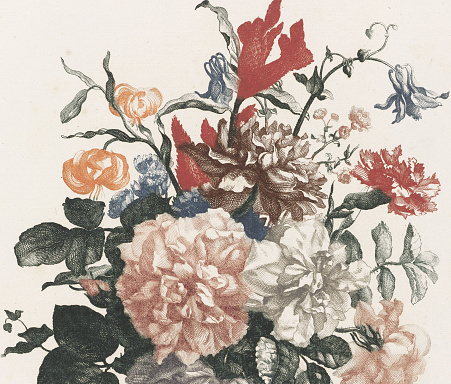 Set of 19th century illustrations of Rosa centifolia, Yellow rose, Tea rose, Rose Adelaide d'Orleans, Rose Of Bancks, Pompon rose. Engraved by Pierre-Joseph Redoute (1759 - 1840), nicknamed \