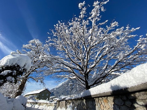 Winter in the Alps