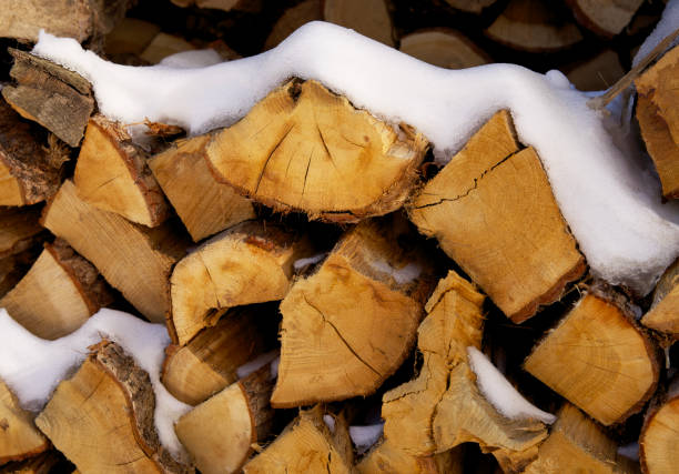 istock Fire wood on a pile covered with some snow in winter 1302104283