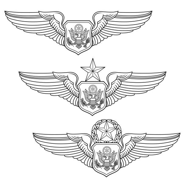 u.s. air force nonrated officer aircrew set - air force insignia military armed forces stock illustrations