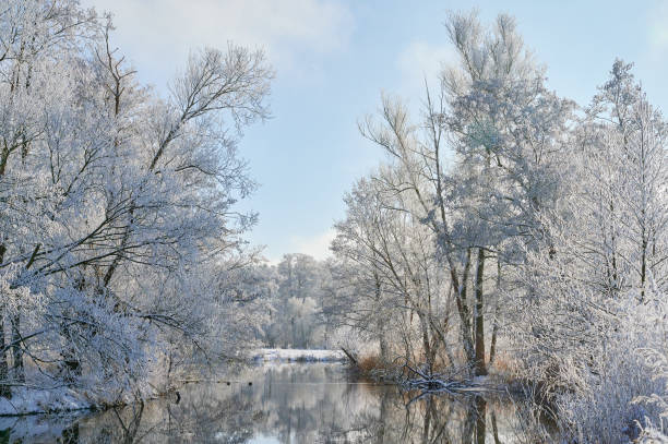Hoarfrost and beautiful winter scene at the river Spree in Brandenburg State Beautiful and exceptional winter scene at the river Spree with white trees covered in hoarfrost spreewald stock pictures, royalty-free photos & images