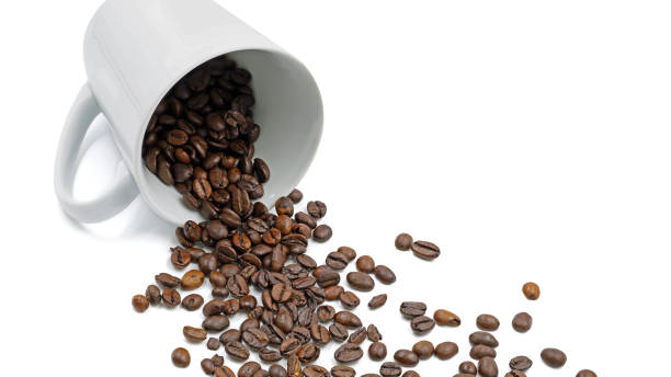 istock Roasted coffee beans fall from a lying coffee cup isolated on white background 1302112807