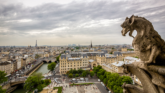 Gargoyle sitting on Notre Dame Cathedral and looking on Paris cityscape and the Eiffel tower.\n\nThe focus is on the Gargoyle