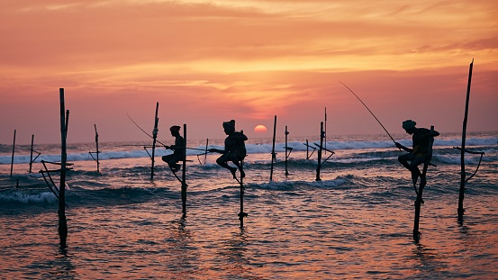 Silhouettes of three fishermen at beautiful sunset. Traditional stilt fishing in Sri Lanka.