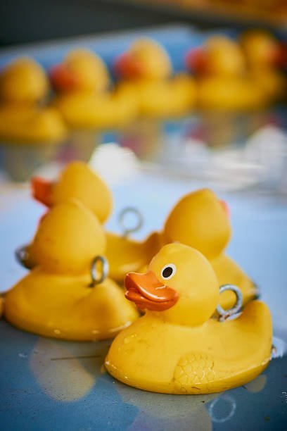 istock Yellow rubber ducks in a blue pond close up 1302118225