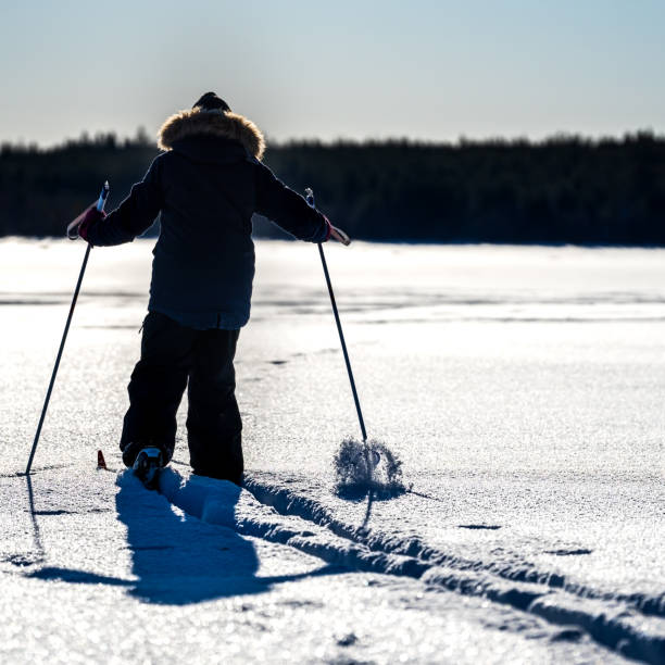 istock cross country skis 1302118265