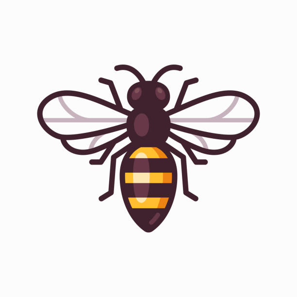 Cartoon bee icon Vector bee icon. Simple cartoon illustration, geometric flat design. bee clipart stock illustrations