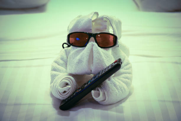 Towel animal at bed time