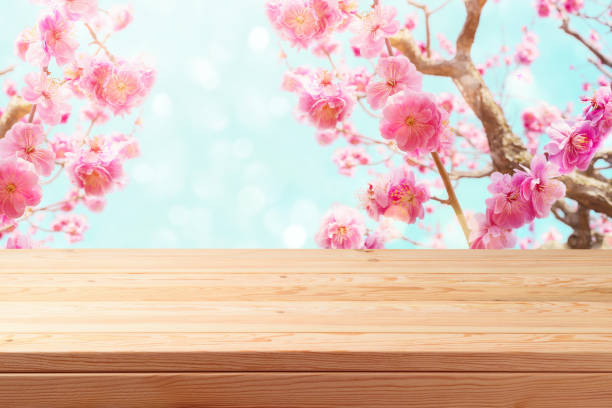 istock Empty wooden table over beautiful cherry blossom background. Spring and easter mock up for design 1302123617