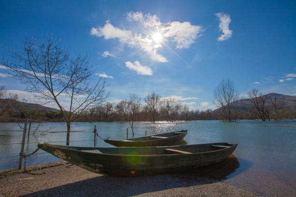 Shkodra lake