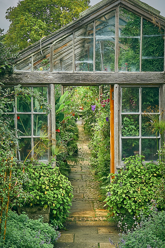 The entrance to an old Victorian greenhouse with cobbled path