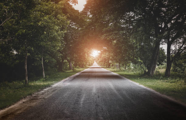 istock Road to the sun and dark trees side. 1302128719