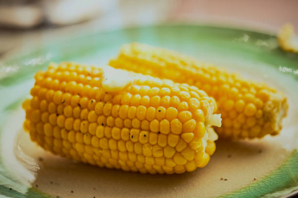 due mais di mais dolce sulla pannocchia cotta con burro - corn on the cob corn cooked boiled foto e immagini stock