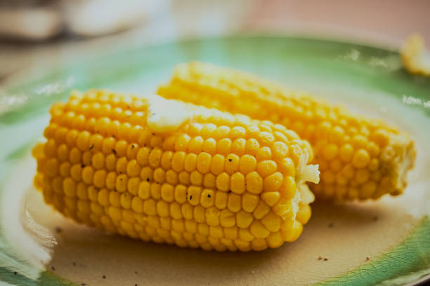 버터로 조리한 코브에 달콤한 옥수수 2개 - corn on the cob corn cooked boiled 뉴스 사진 이미지