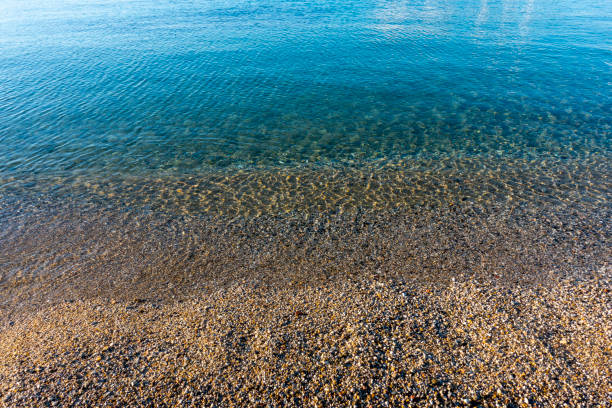 istock Beach and the sea 1302133279