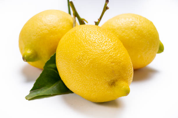 limoni italiani gialli maturi freschi con foglia, nuova vendemmia - neapolitan specialty foto e immagini stock