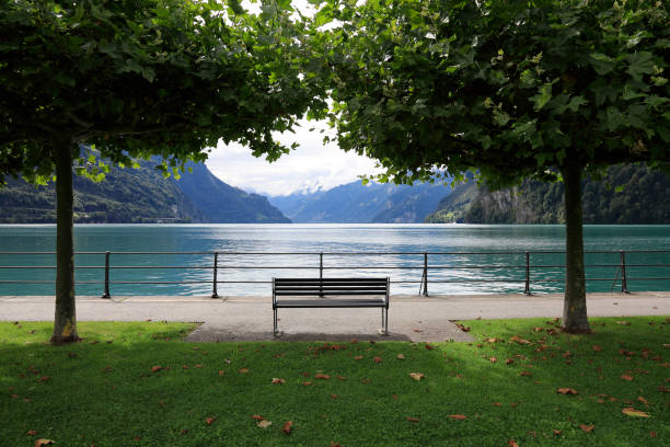 istock Single empty bench on the lake shore in Brunnen 1302134778