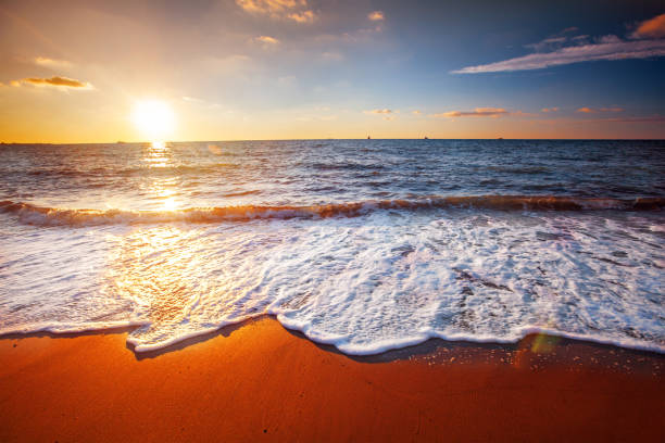 istock Beautiful sunset sea and tropical beach 1302136152