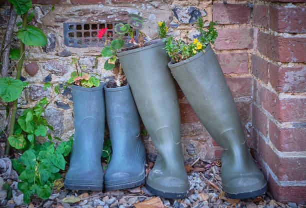 Wellies used as garden planters for flowers Wellington boot planters in a country garden, UK resourceful stock pictures, royalty-free photos & images