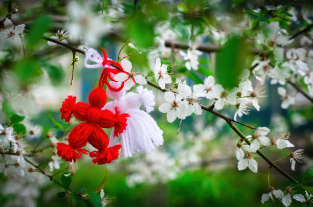 Red and white beautiful martisor or martenitsa hanging on the branches of the blooming tree Red and white beautiful martisor hanging on the branches of the blooming tree. Martenitsa beginning of spring celebration. Romania and Bulgaria tradition. White flowers moldavia photos stock pictures, royalty-free photos & images