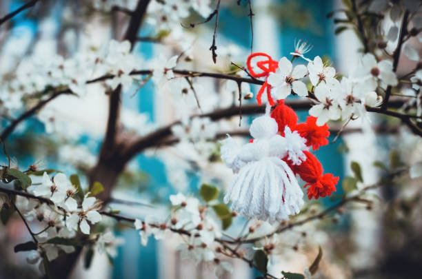Red and white beautiful martisor hanging on the branches of the blooming tree. Martenitsa beginning of spring celebration. Romania and Bulgaria tradition. White flowers