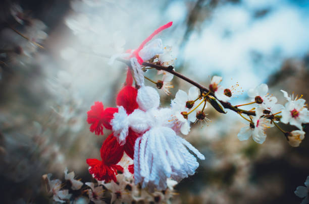 Red and white beautiful martisor or martenitsa hanging on the branches of the blooming tree Red and white beautiful martisor hanging on the branches of the blooming tree. Martenitsa beginning of spring celebration. Romania and Bulgaria tradition. White flowers moldavia photos stock pictures, royalty-free photos & images