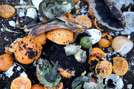 Californians throw away nearly 6 million tons of food scraps or food ... reduction, recycling and composting, food waste must be addressed.