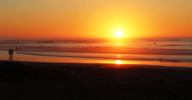 istock Low light beach sunset photo south africa 1302141500