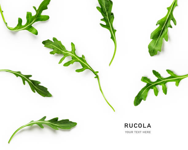 Rucola leaves collection and creative layout Rucola collection and creative layout isolated on white background. Healthy eating and dieting food concept. Arugula salad green leaves composition and design elements. Top view, flat lay arugula stock pictures, royalty-free photos & images