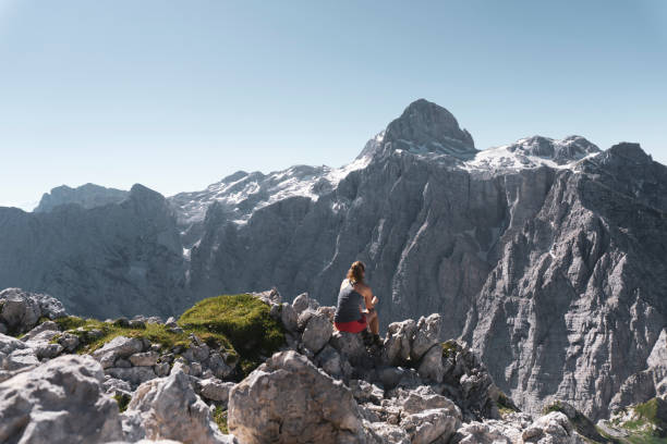 istock Find me where the wild things are 1302142733