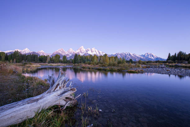 The Grand Tetons Reflecting off the Snake River stock photo