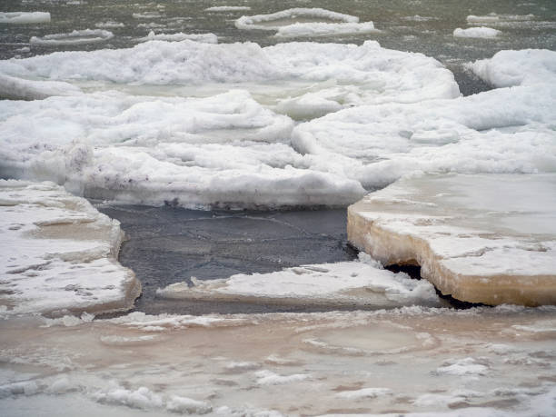 istock Coast of the Baltic 1302145484