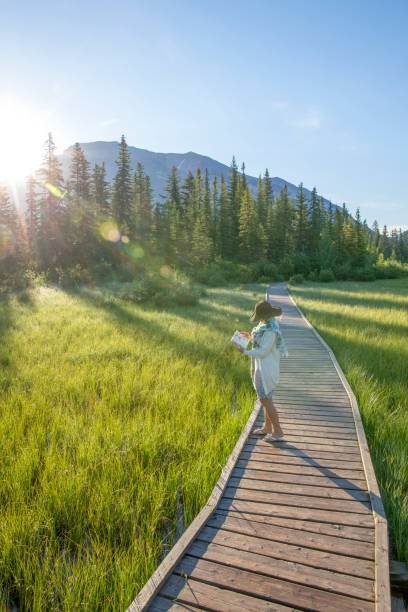 istock Woman looks at bird book on boardwalk over marsh 1302147033