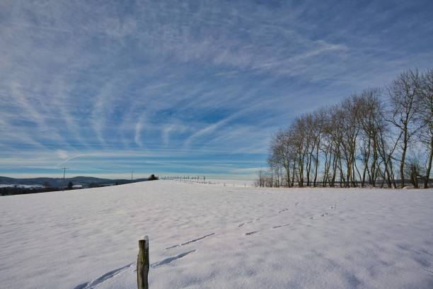 snowy landscape in Thuringia in winter