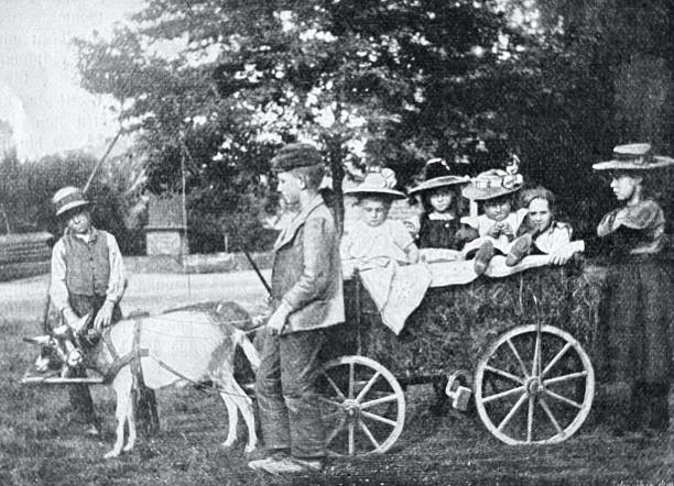 istock Children playing hay transport 1302156096