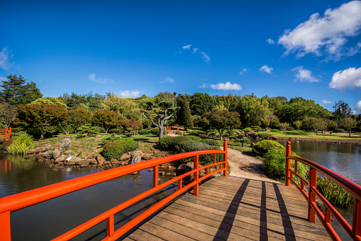 Japanese style public park with pond and a red bridge